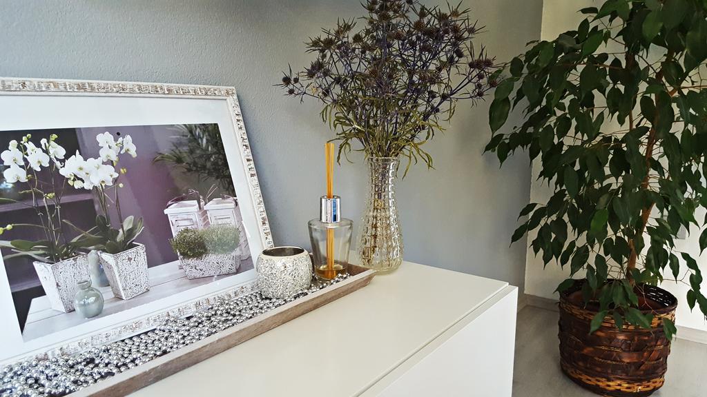 Apartment Lipa Irinovac Εξωτερικό φωτογραφία